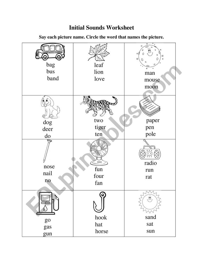 Initial Sounds Worksheet  worksheet