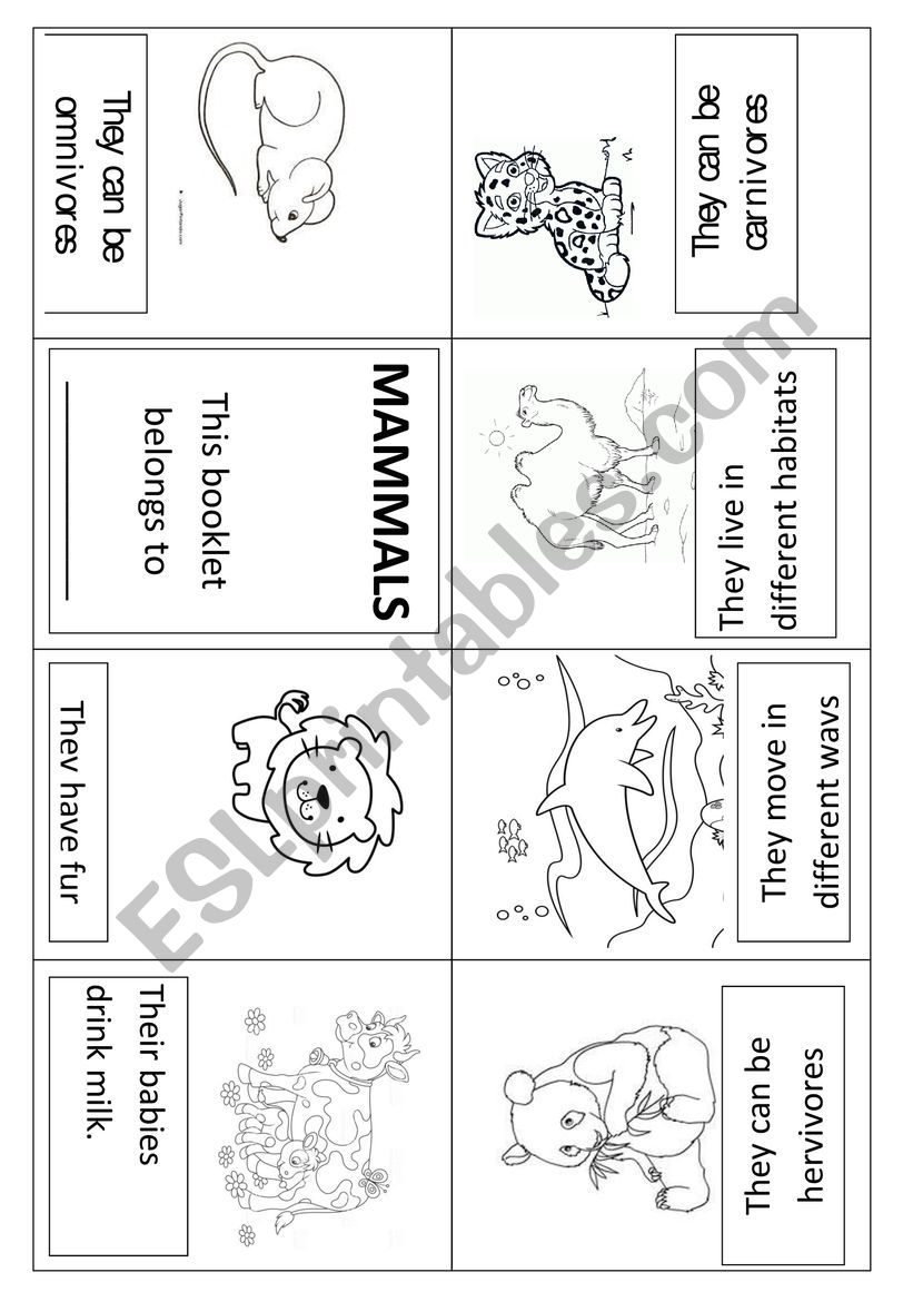 Mammals booklet worksheet