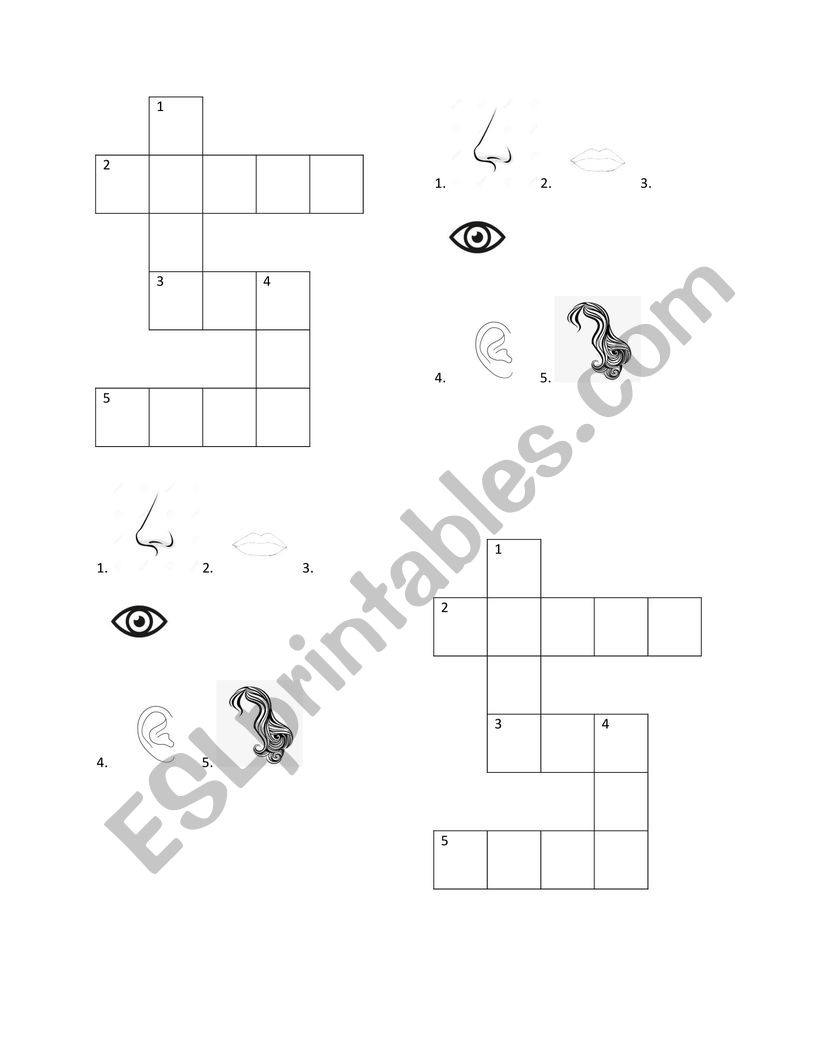 Crossword Body Parts worksheet