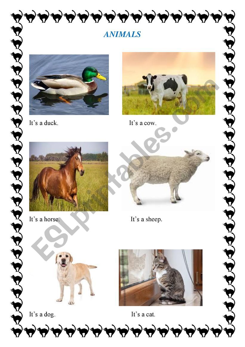 animals worksheet