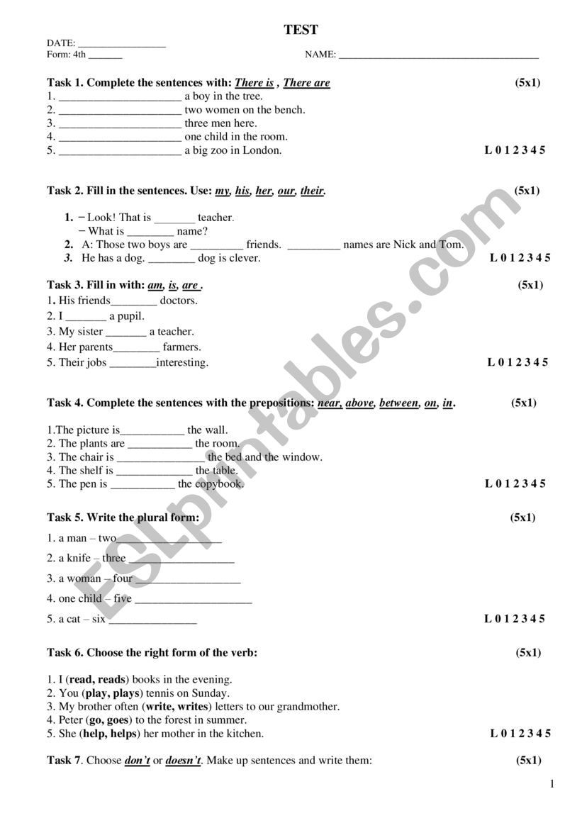GRAMMAR TEST FOR BEGINNERS worksheet