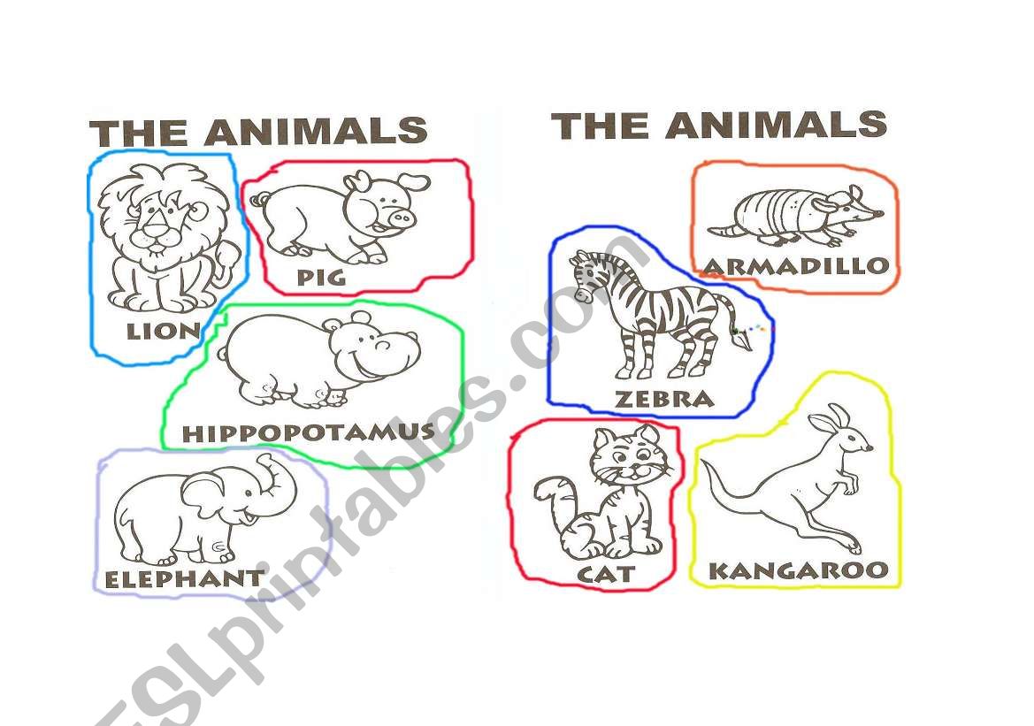 ANIMALS worksheet