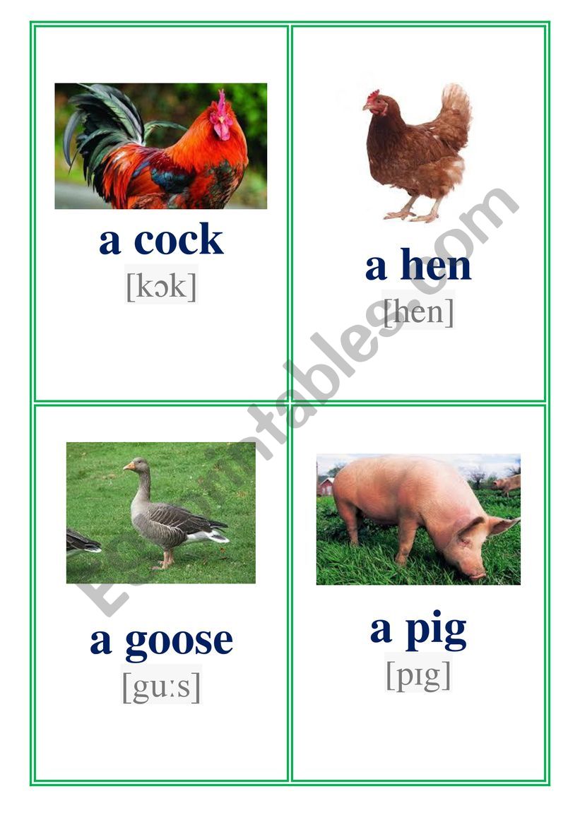 domestic animals worksheet
