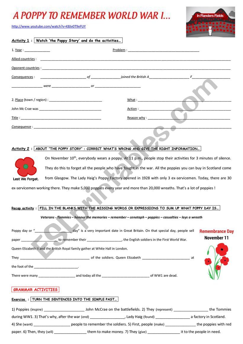 WW1 : The poppy story worksheet