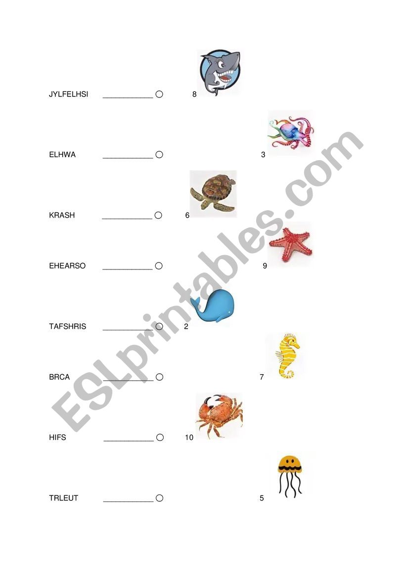 Sea Animals Unscramble And Matching Challenge