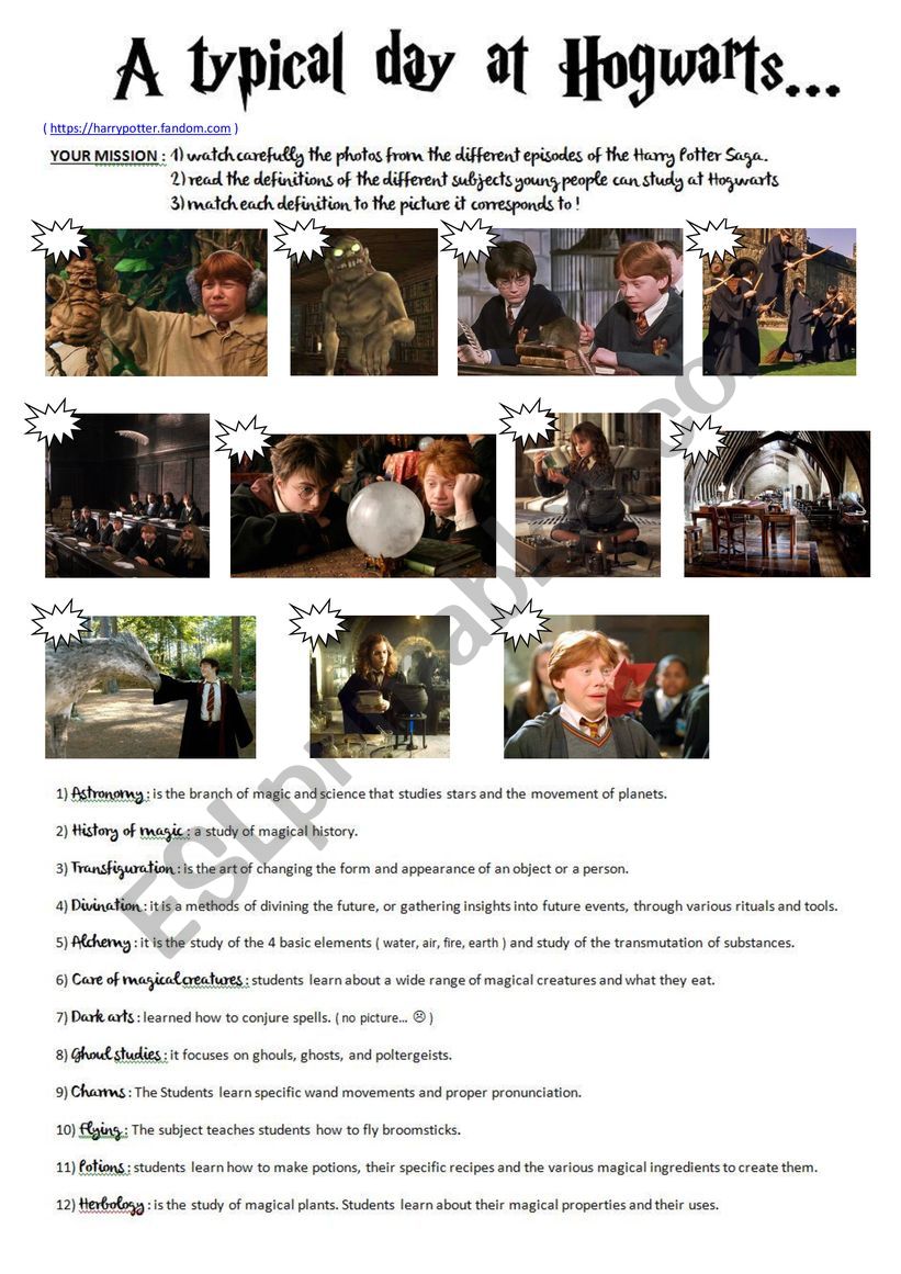 A typical day at Hogwarts ! worksheet