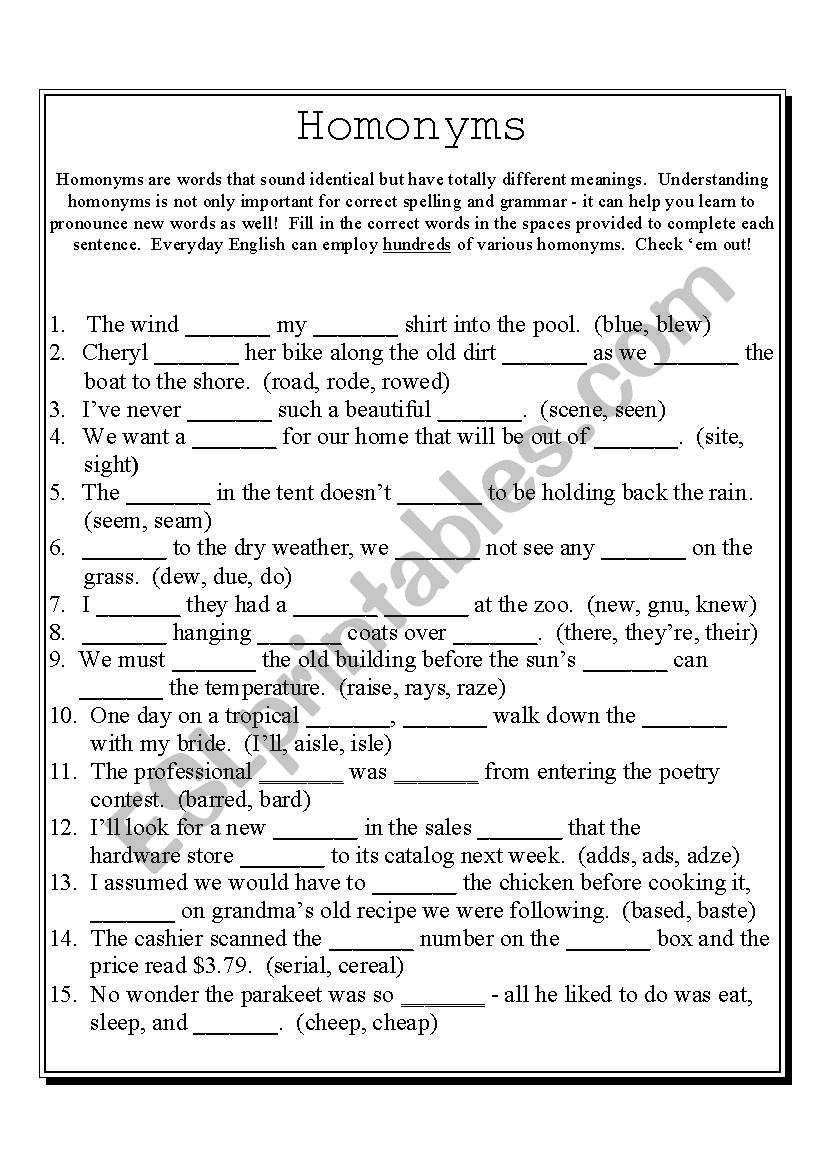 Homonyms worksheet