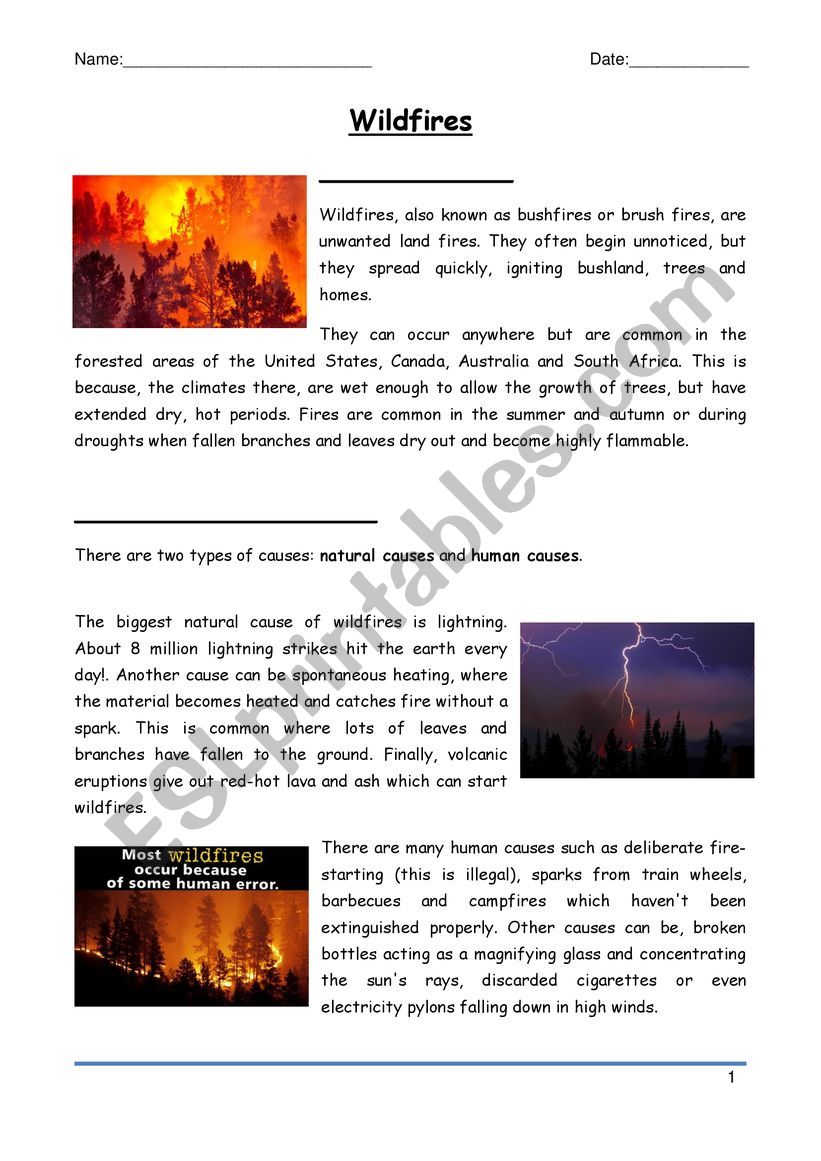 Wildfires worksheet