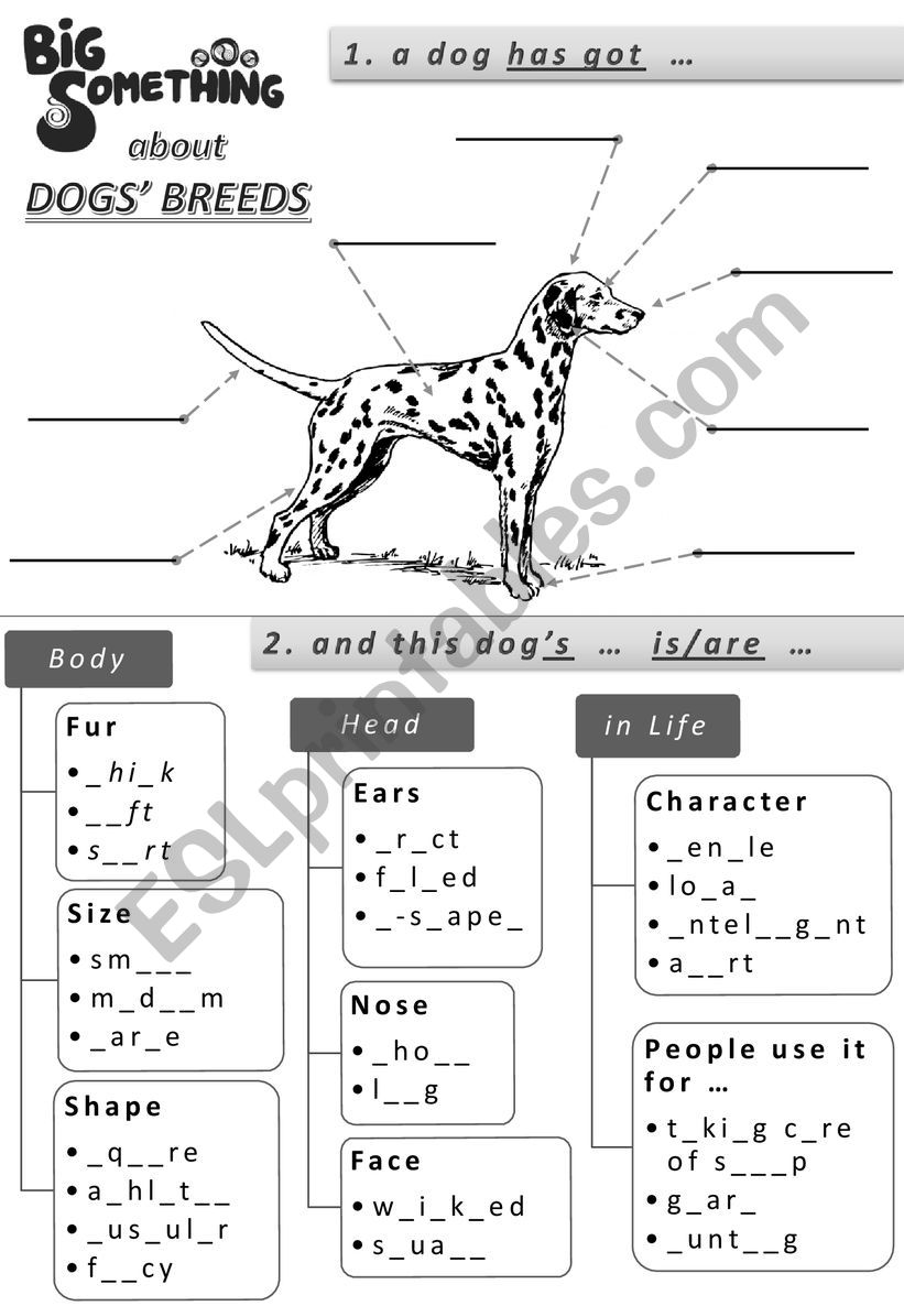 Dog Breed description worksheet