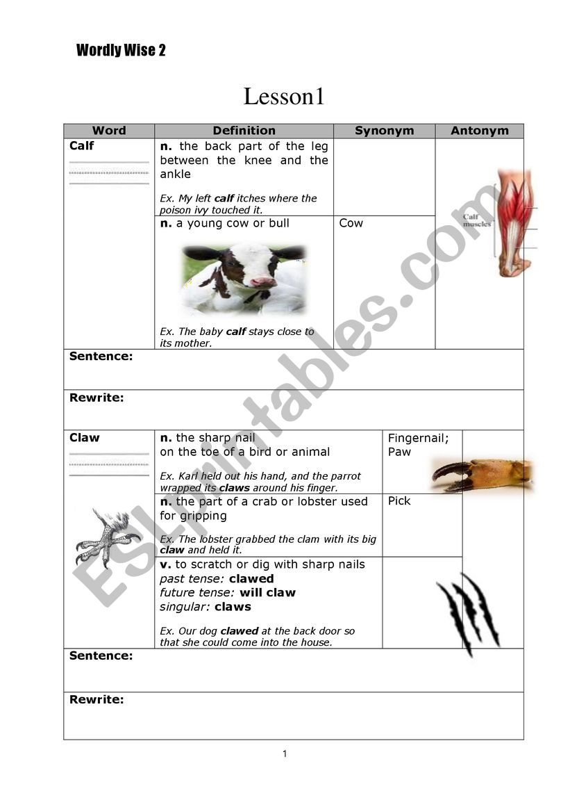 Wordly Wise Vocab Worksheet worksheet