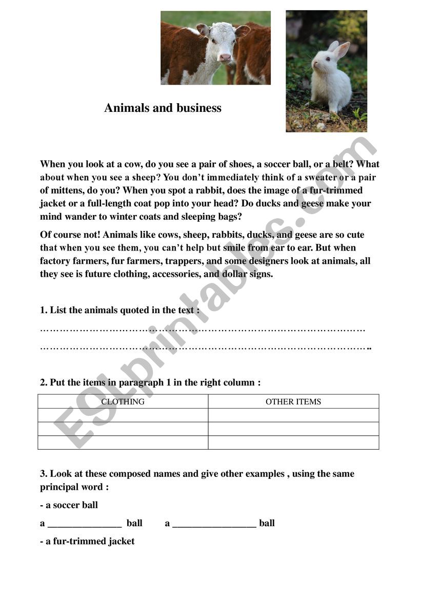 Animals and Business worksheet