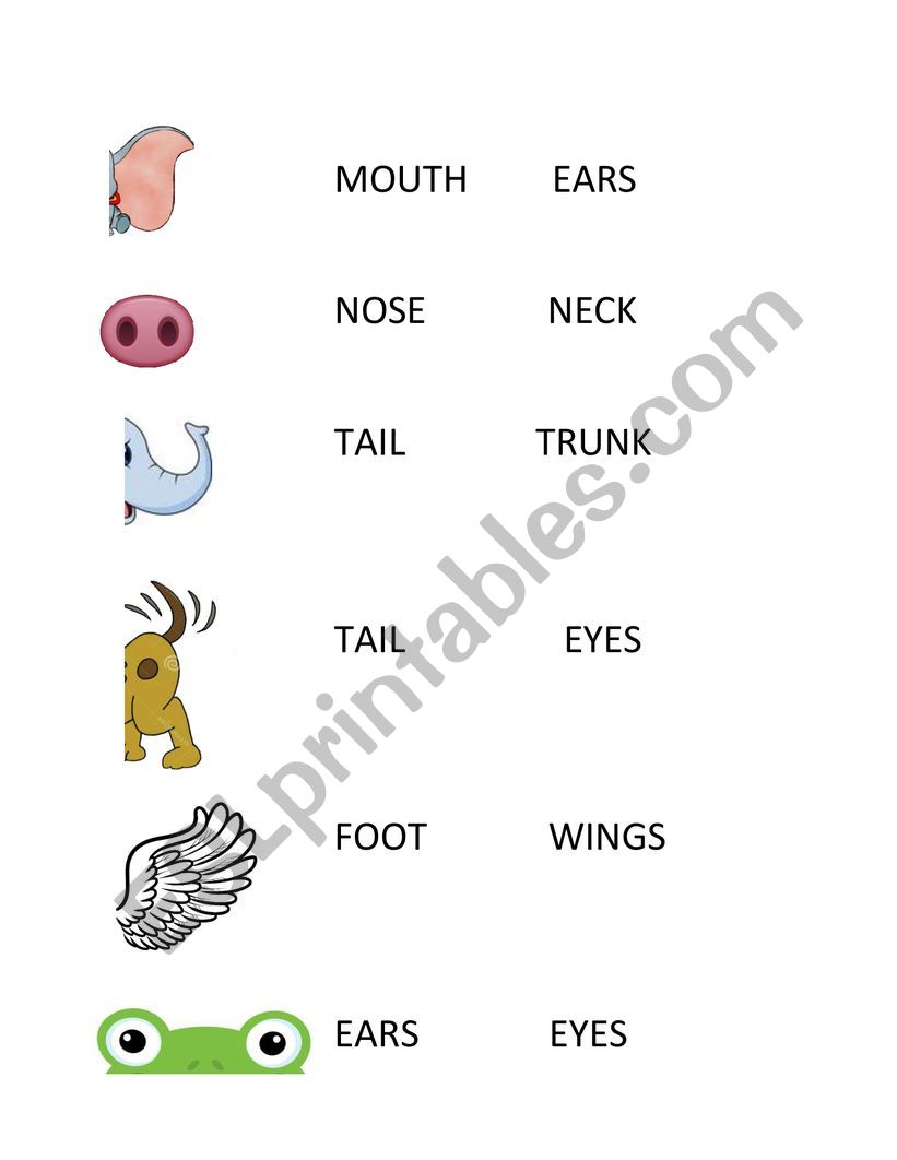 ANIMAL PARTS ESL Worksheet By MOGUI