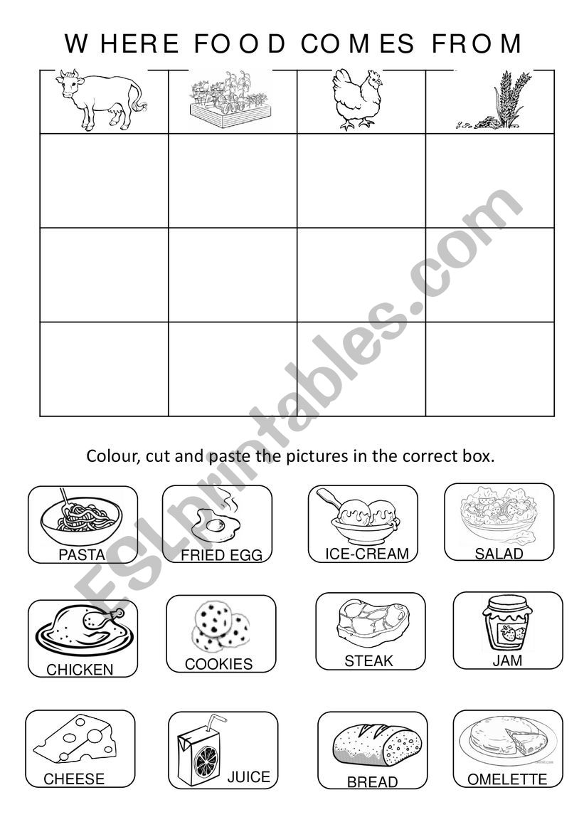 WHERE FOOD COMES FROM worksheet