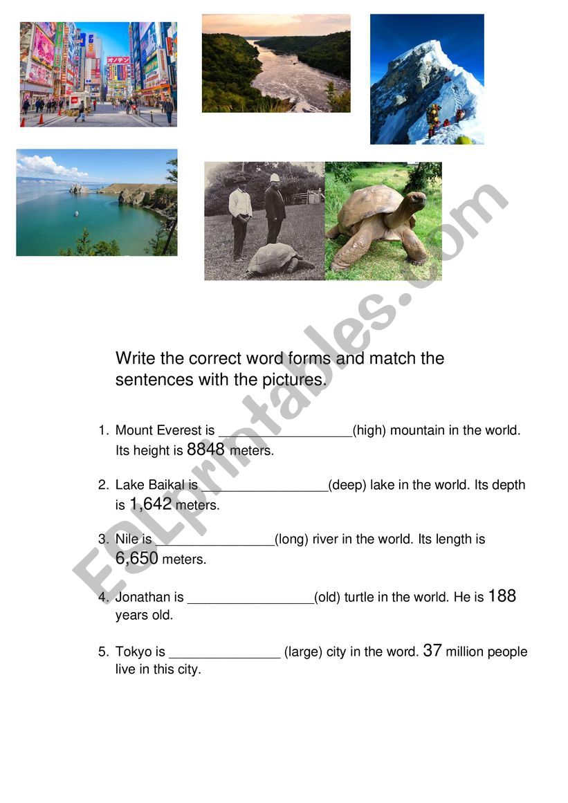 Superlative adjectives worksheet