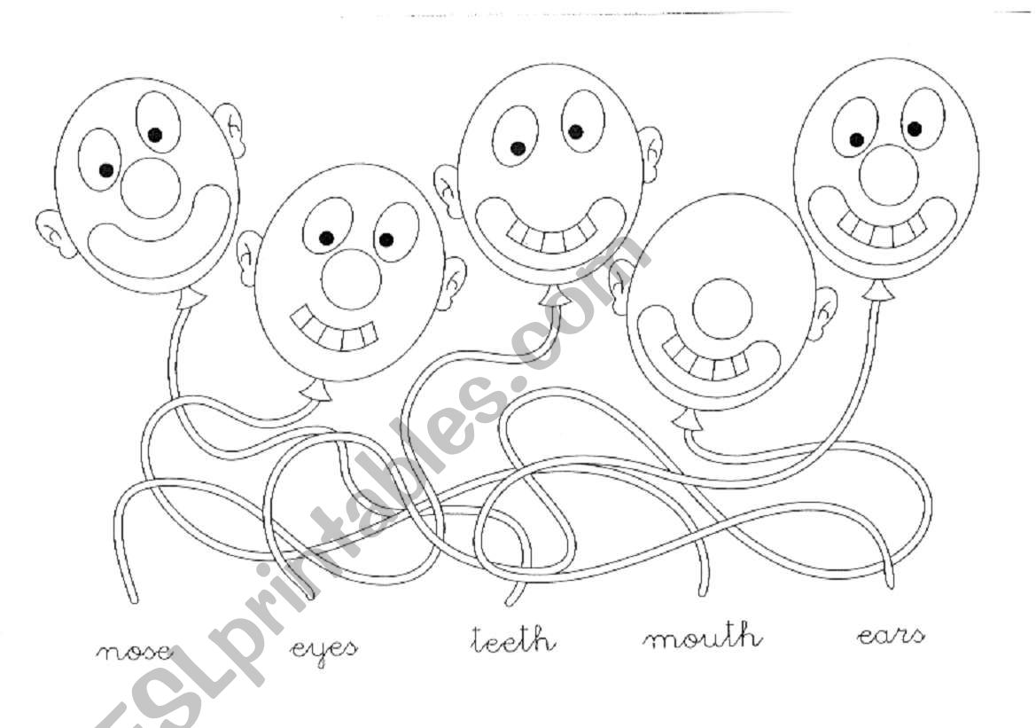 Extension face parts worksheet