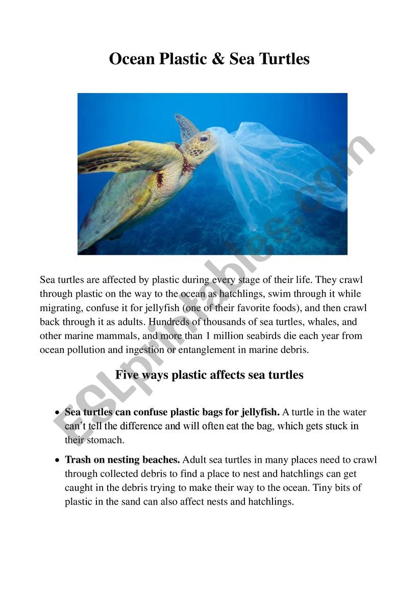 Ocean Plastic and Turtles worksheet
