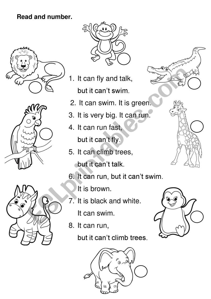 Wild animals worksheet