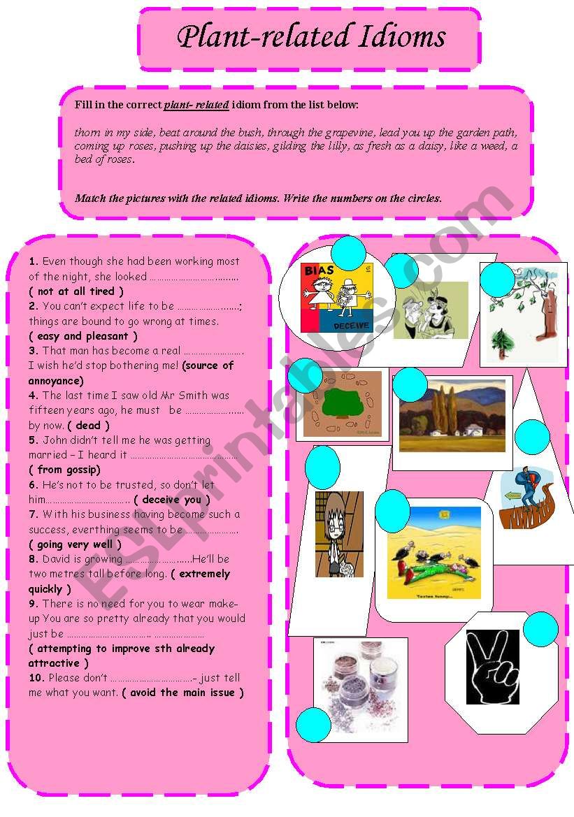 plant- related idioms worksheet