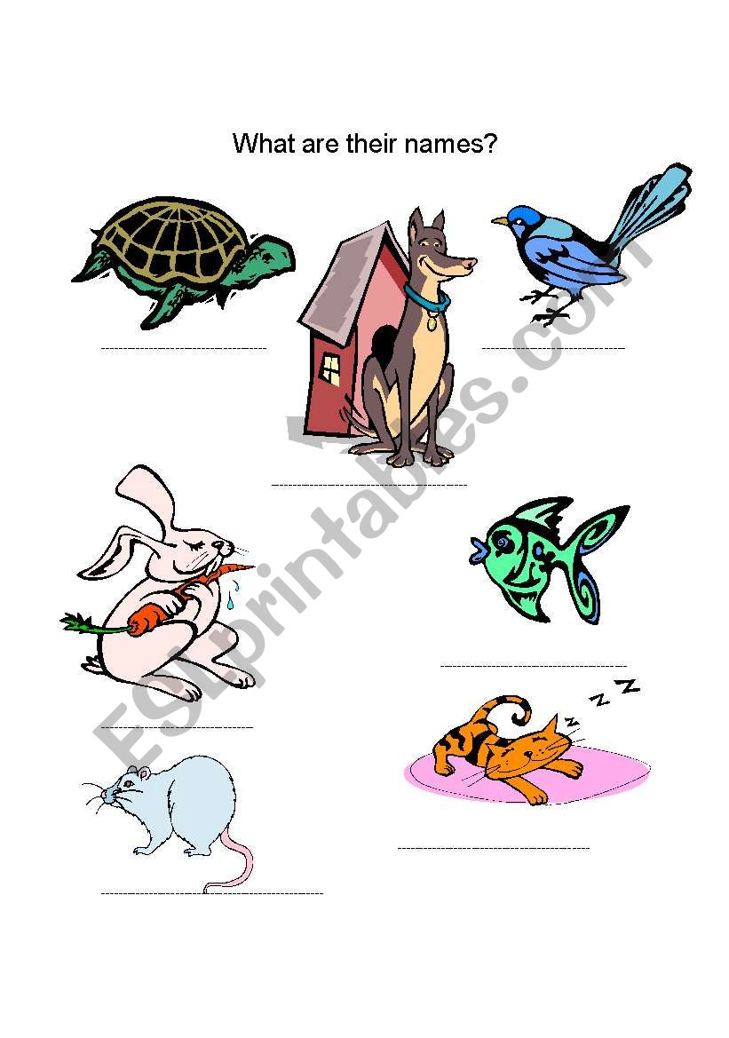 Animals worksheet