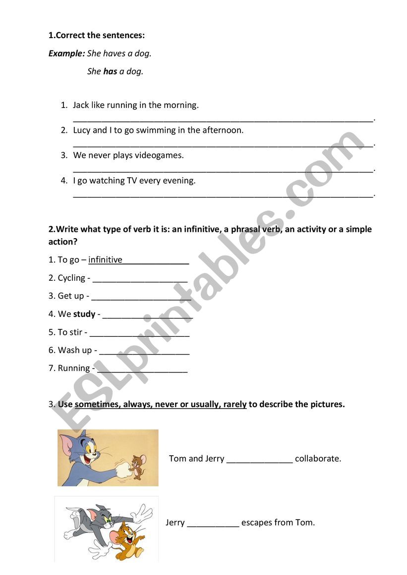 The Present Simple  worksheet