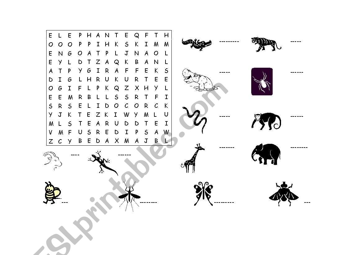 Animal picture wordsearch worksheet