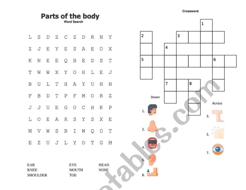 Parts of the body worksheet