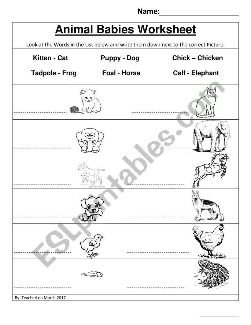 Animals big and small worksheet