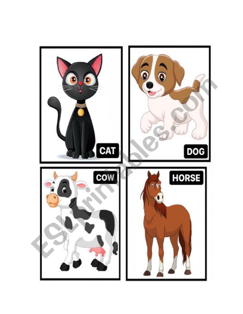 Animals Flashcards 1 worksheet