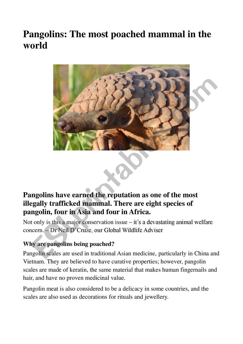 Pangolins: The most poached mammal in the world