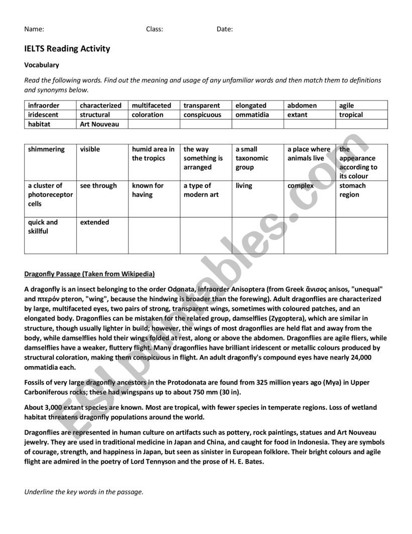 IELTS Reading Activity - The Dragonfly