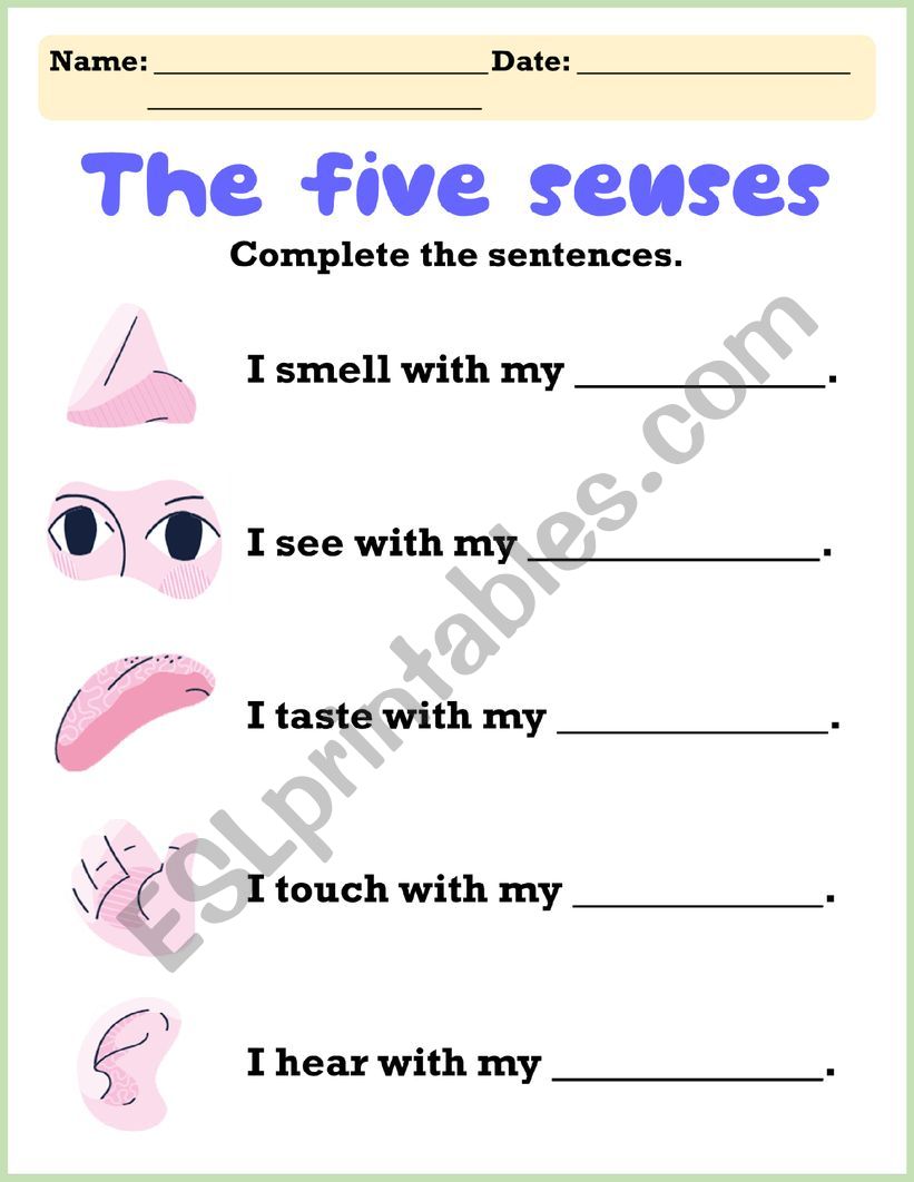 FIVE SENSES worksheet