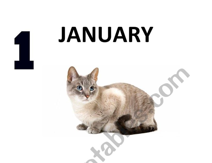 Months of a year worksheet
