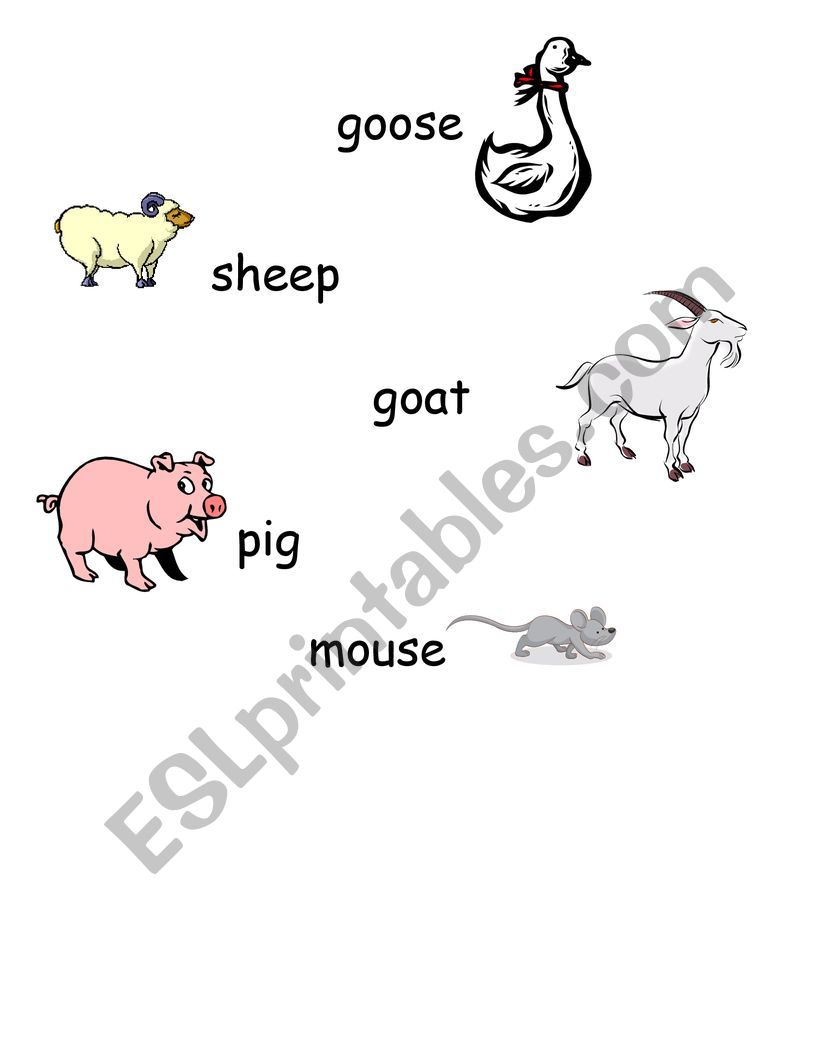 Farm animals worksheet