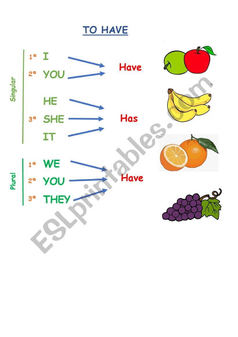 to Have (Present simple) worksheet