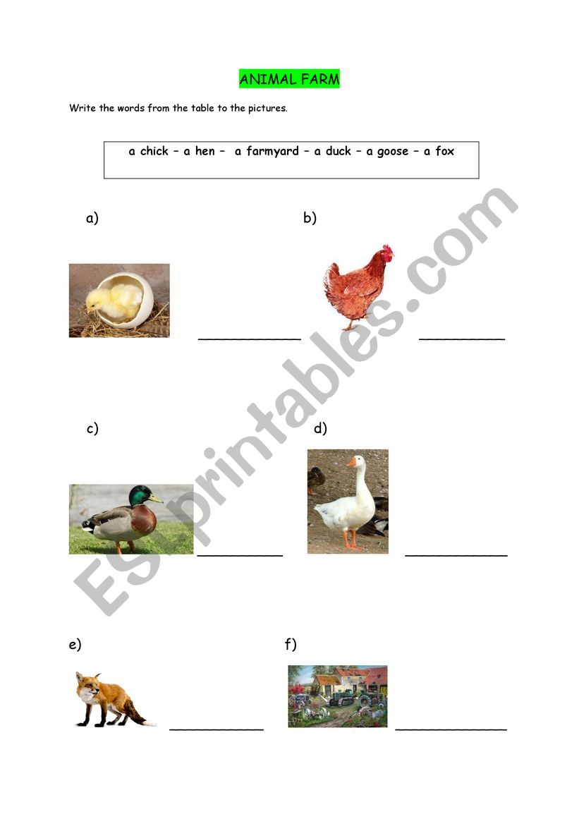 Animal Farm worksheet