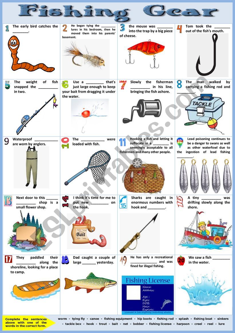 Fishing Gear. Completing sentences + KEY - ESL worksheet by karagozian