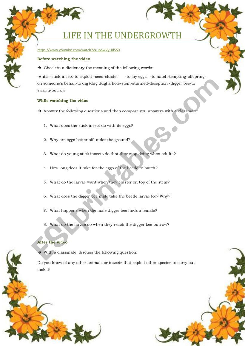 Life in the Undergrowth worksheet