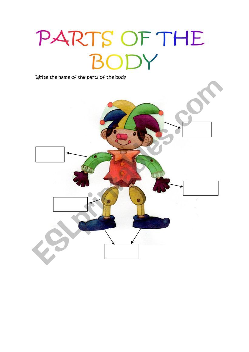 Parts of the body worksheet