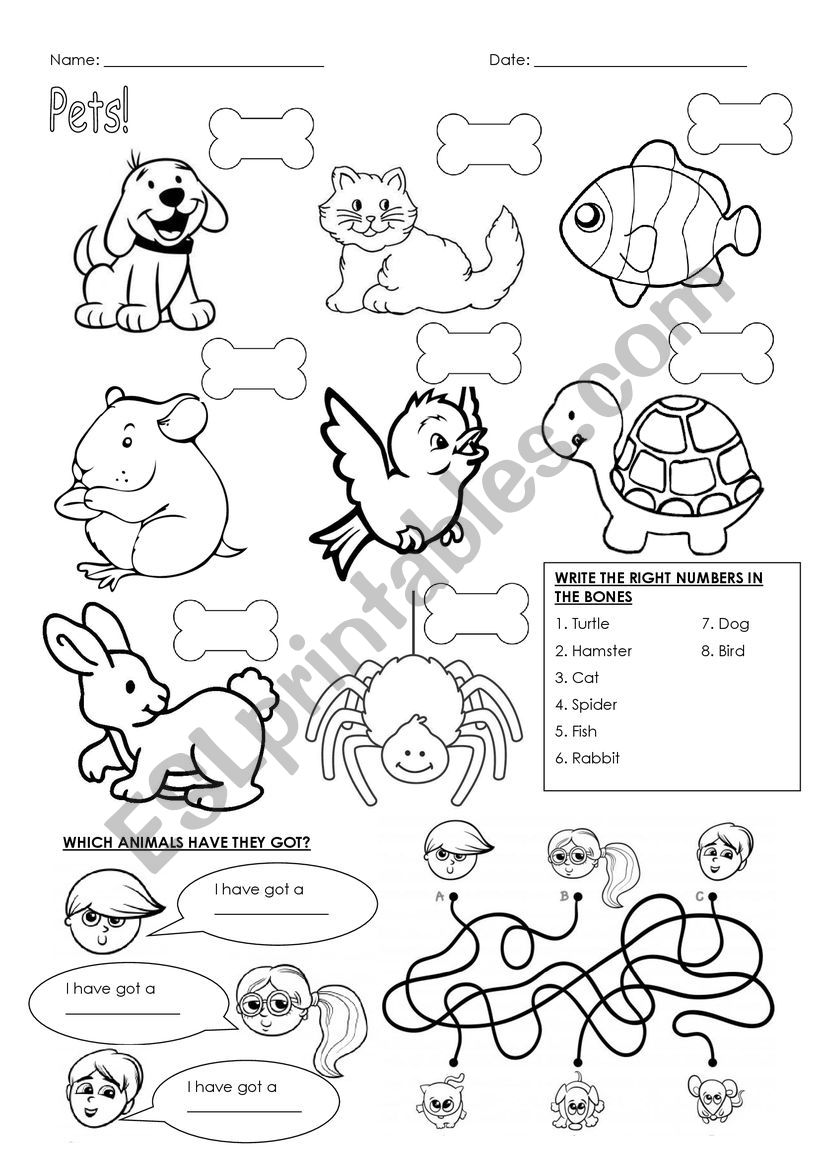 Pets!! worksheet