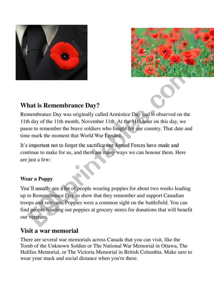Remembrance Day and Poppies worksheet