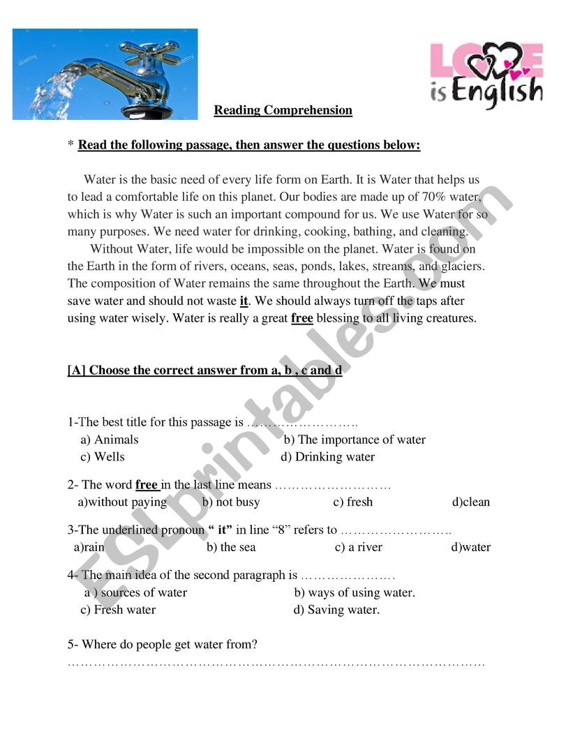 Reading comprehension worksheet