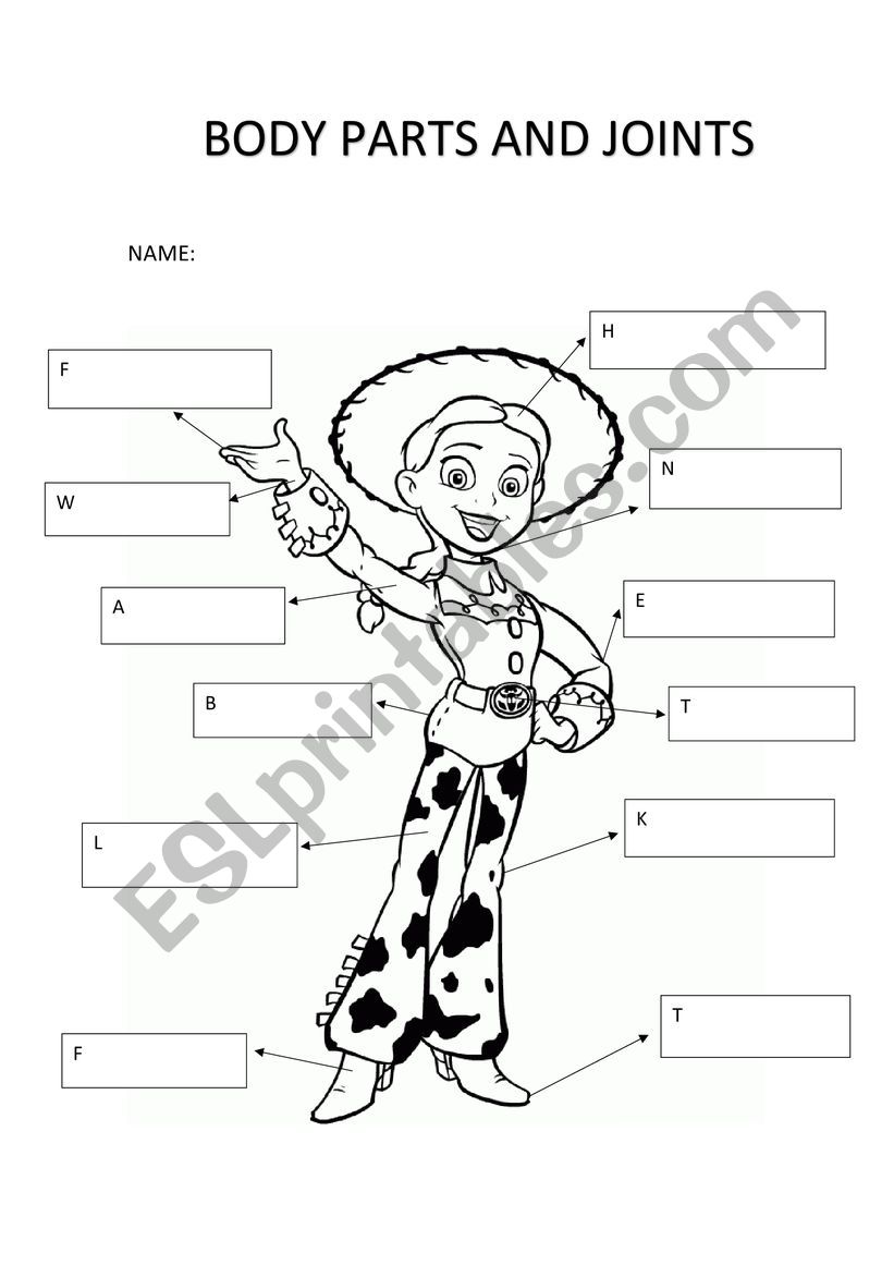 Parts of body worksheet