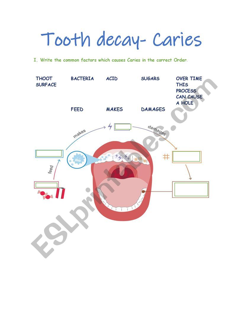 Caries worksheet