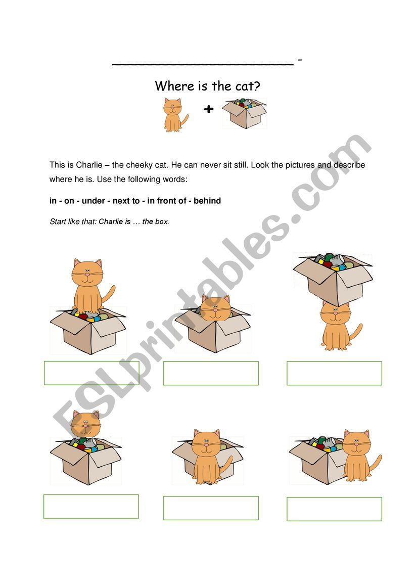 Prepositions of place introduction (in, on, under,...)