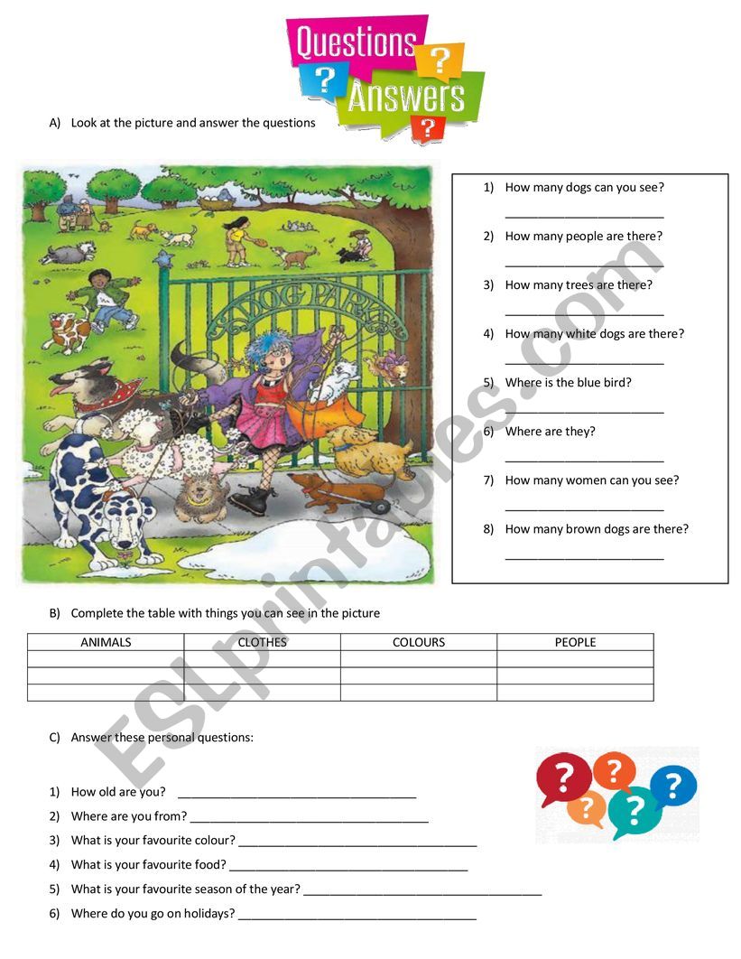 Questions and answers worksheet