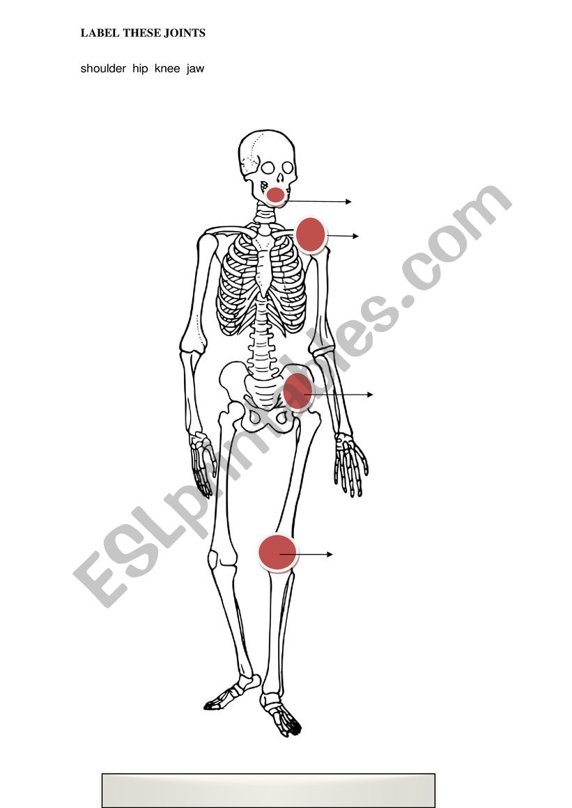Fill the gaps worksheet