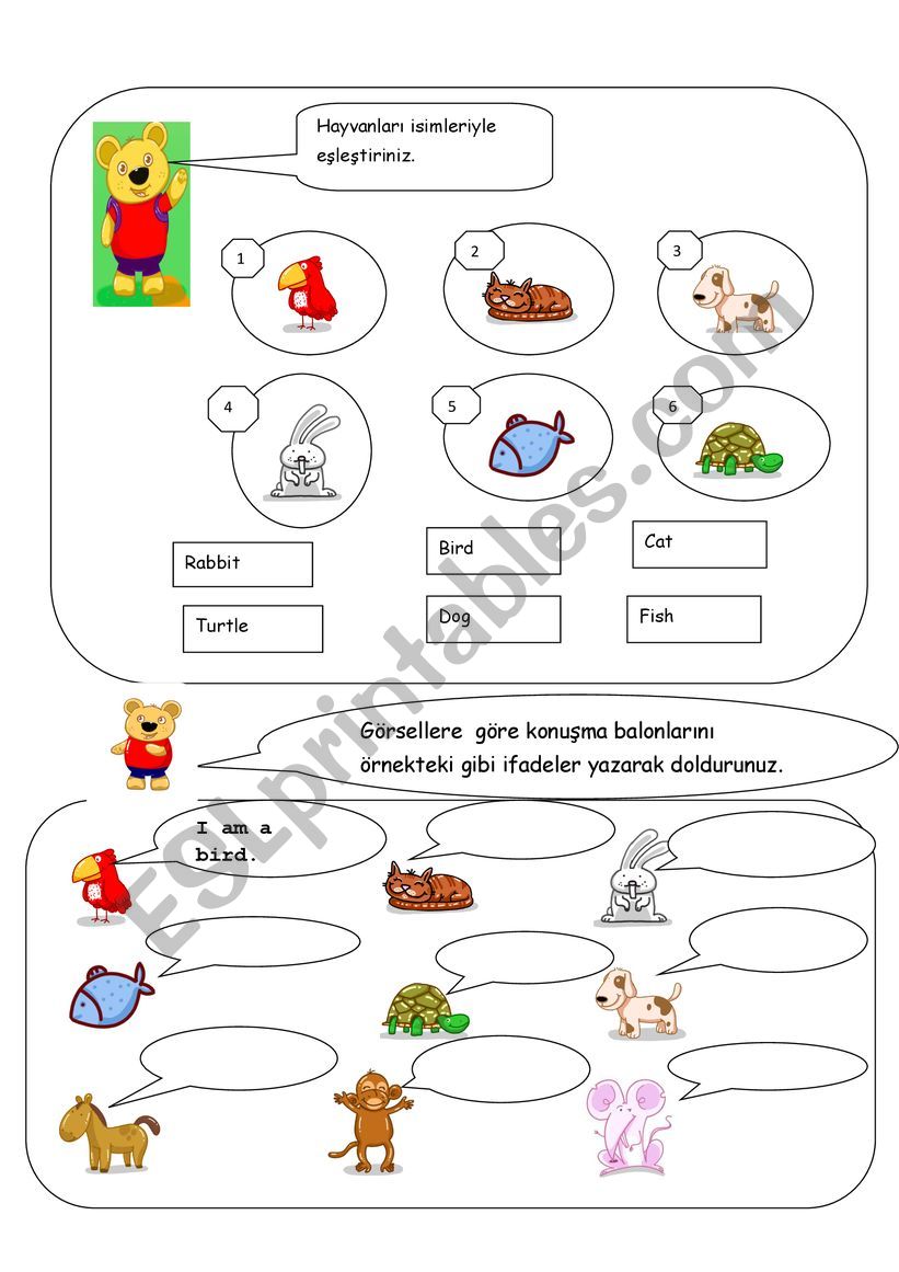 PETS worksheet