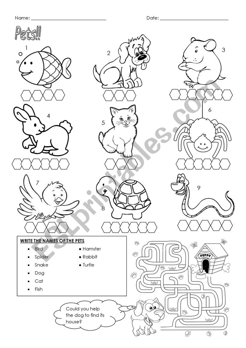 Pets- write worksheet