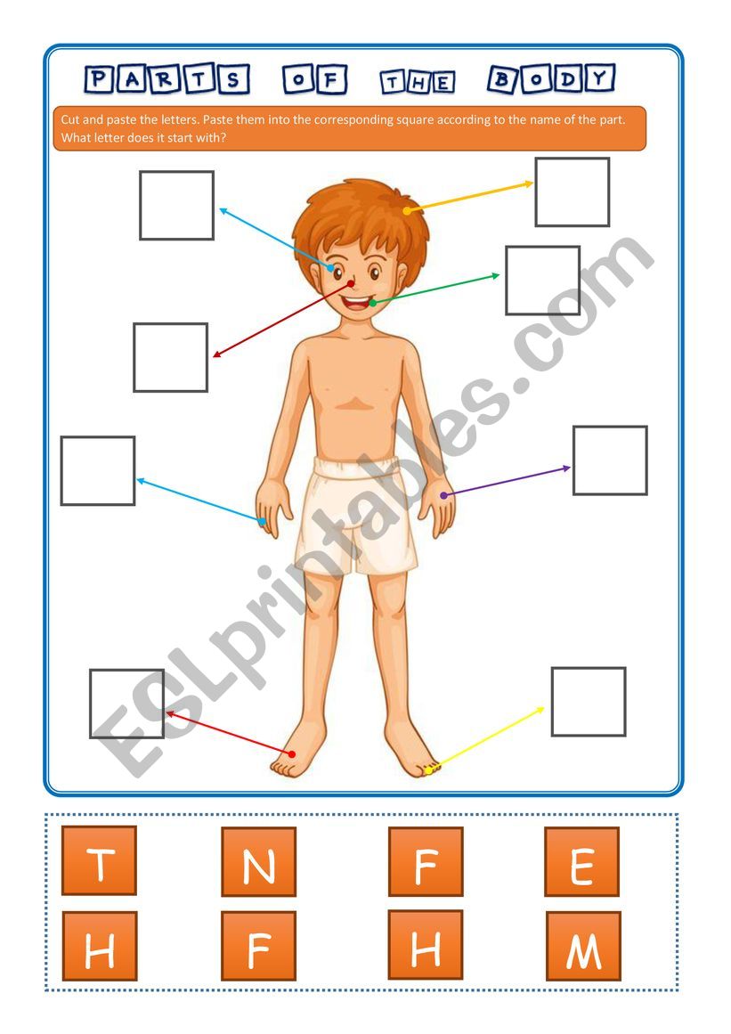 Parts of the BODY  Matching Initial letter - KIDS