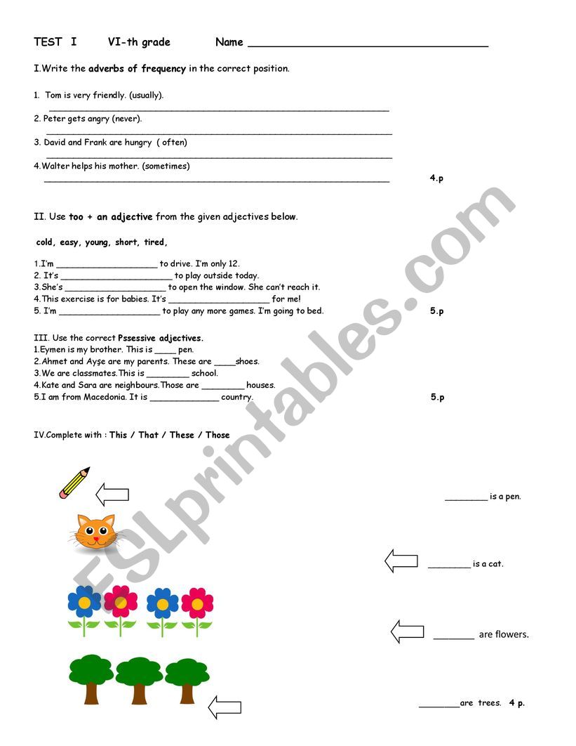   TEST-1         VI-th grade students